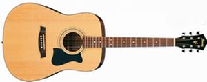 WESTERN bzw. AKUSTIKGITARREN aller Art mit Stahlsaiten